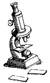microscope